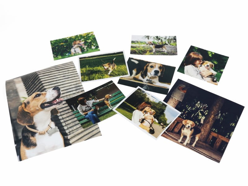 Best Online Photo Printing