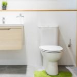Best Toilet Reviews